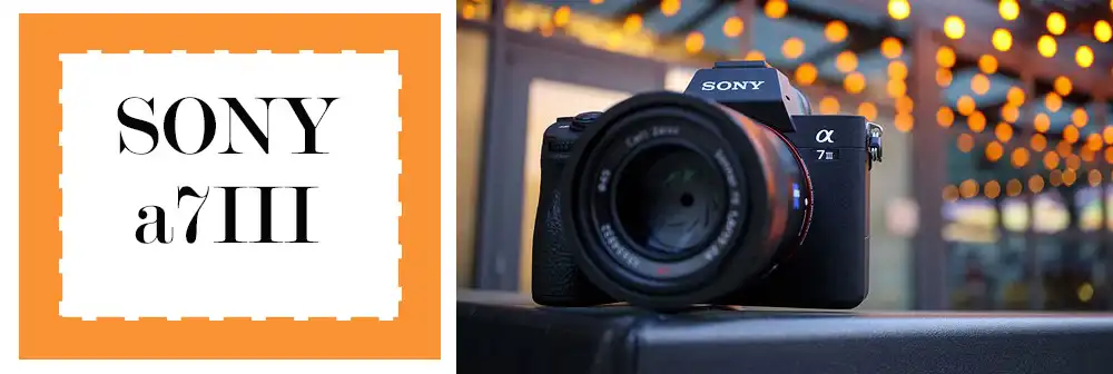 دوربین بدون آینه سونی آلفا Sony Alpha a7 III Mirrorless Body